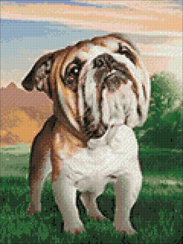 Dreaming dog cs2537 11 8 x 15 7 inches crafting spark diamond painting kit wizardi 1